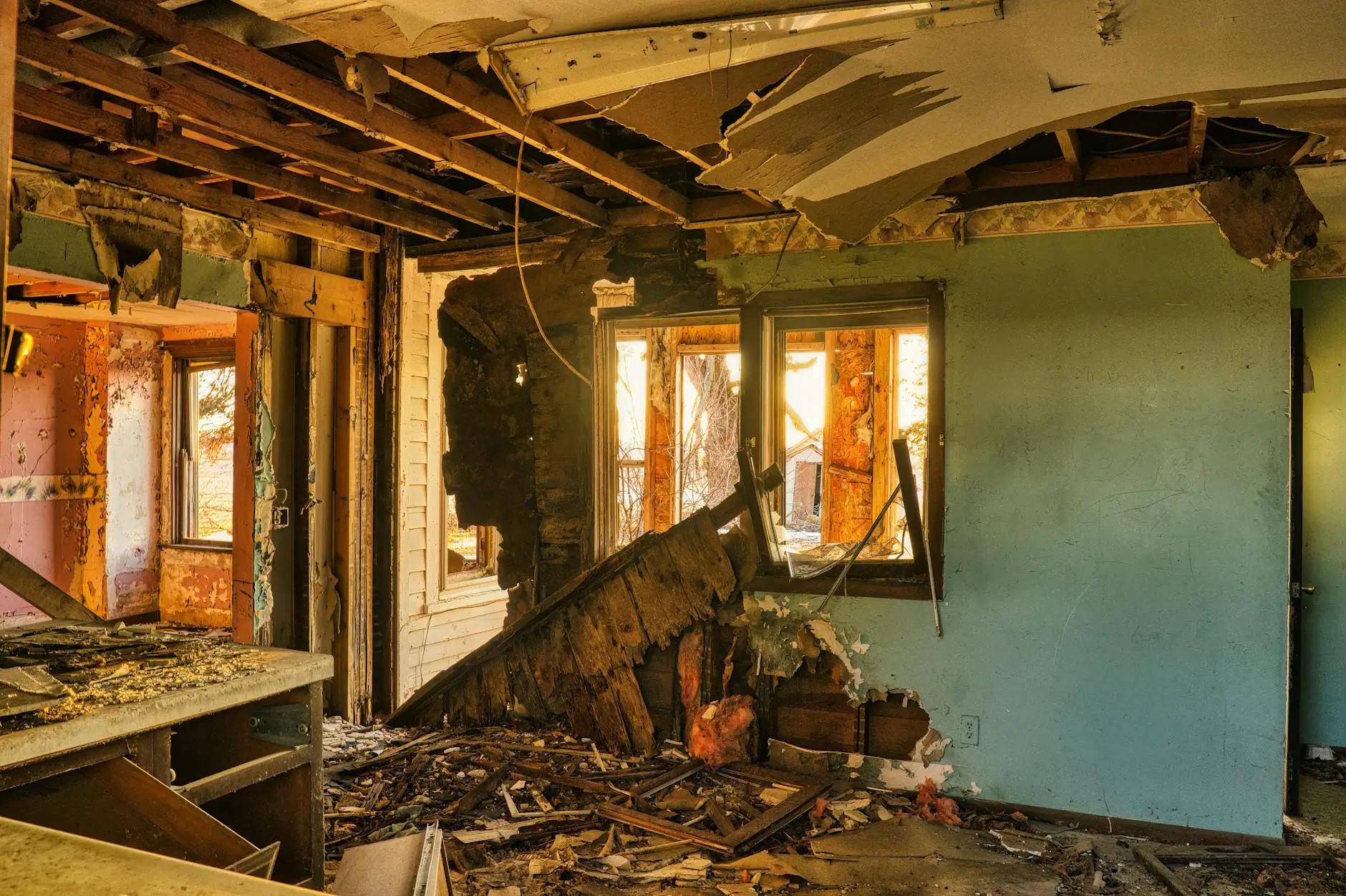 Stone Ridge Mold Group: Miami's Leading Mold Removal Company — Miami, FL