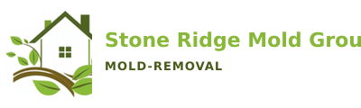 Stone Ridge Mold Group